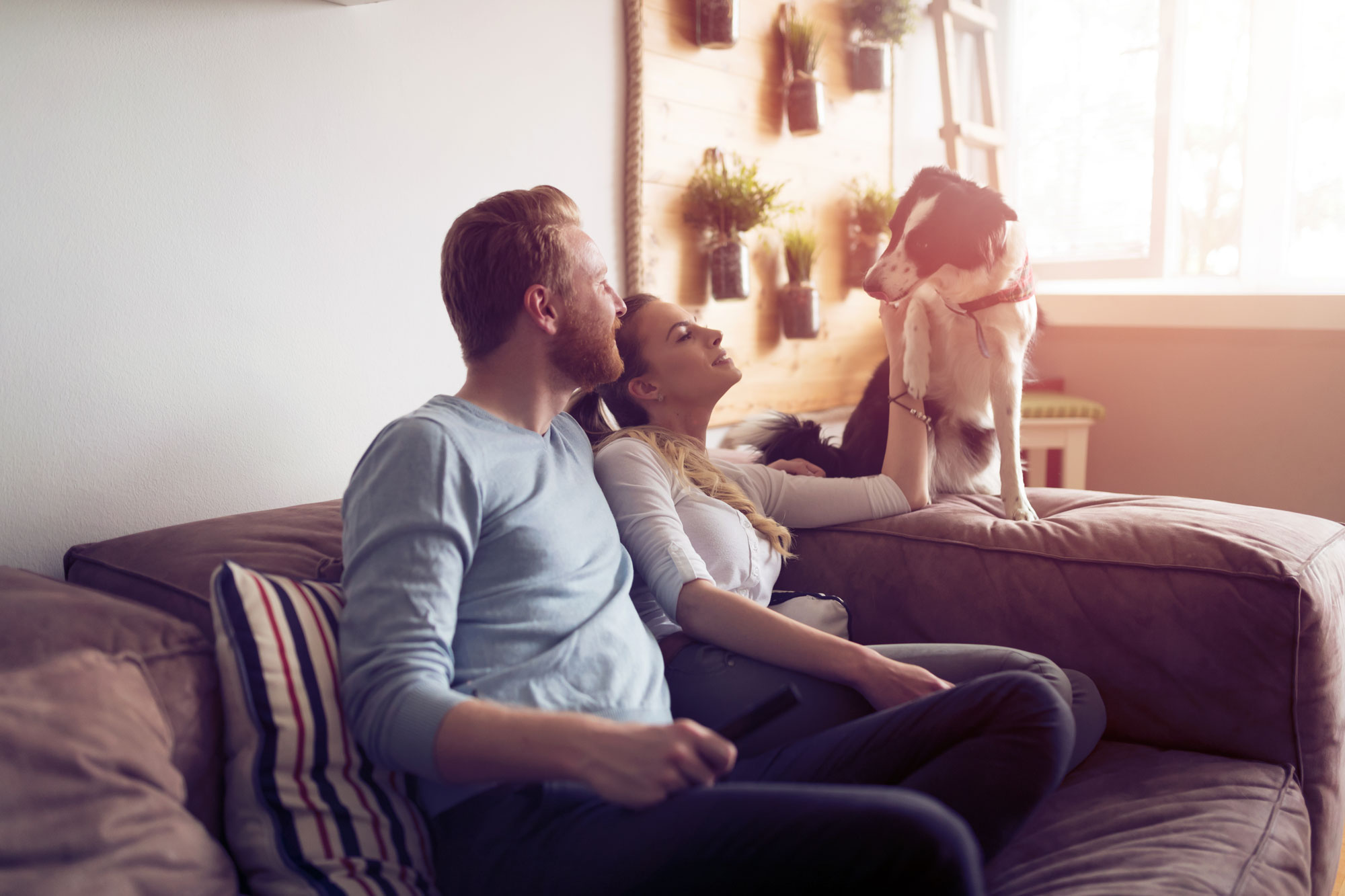 Two people sitting on a couch in a living room. There is a dog standing on the back of the couch near the window. The room has several plants and decorations on shelves in the background